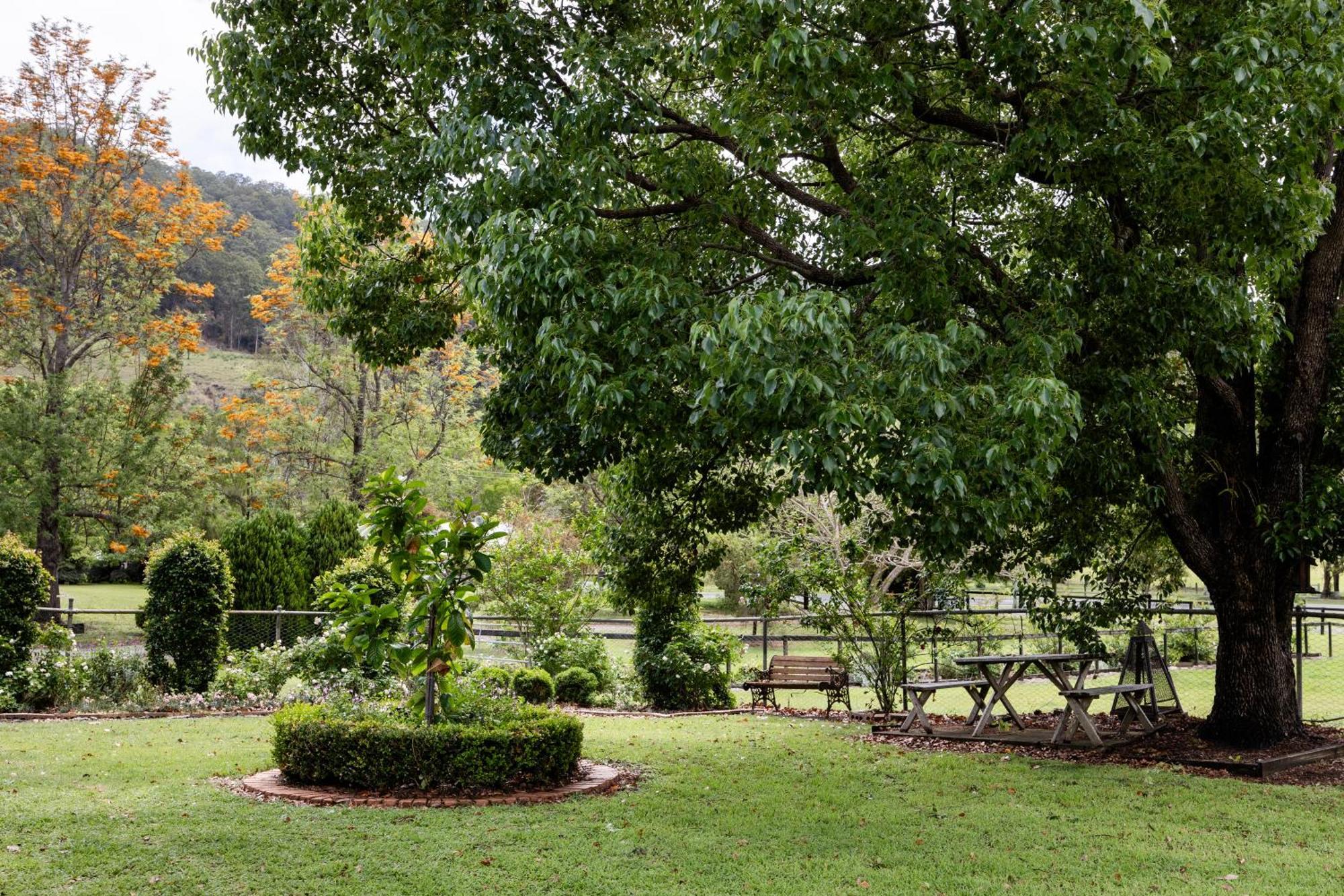 Cottage On Lamington Canungra Buitenkant foto